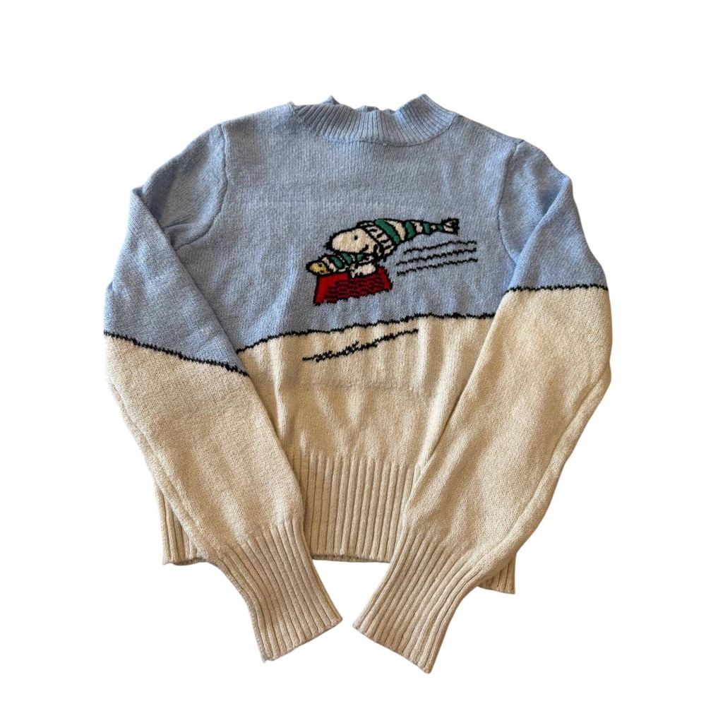 American Eagle x Peanuts Snoopy Doghouse Knit Sweater Light‎ Blue White Small